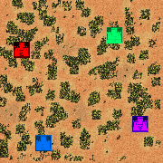Forbidden Forest