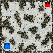 White Forest